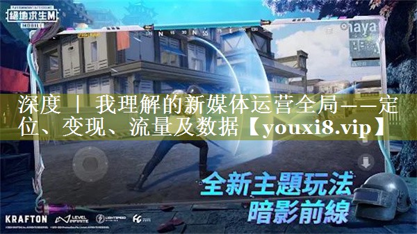 深度 ｜ 我理解的新媒体运营全局——定位、变现、流量及数据
