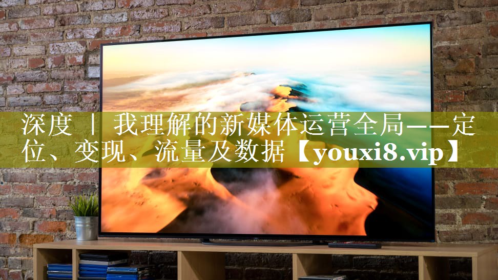 深度 ｜ 我理解的新媒体运营全局——定位、变现、流量及数据