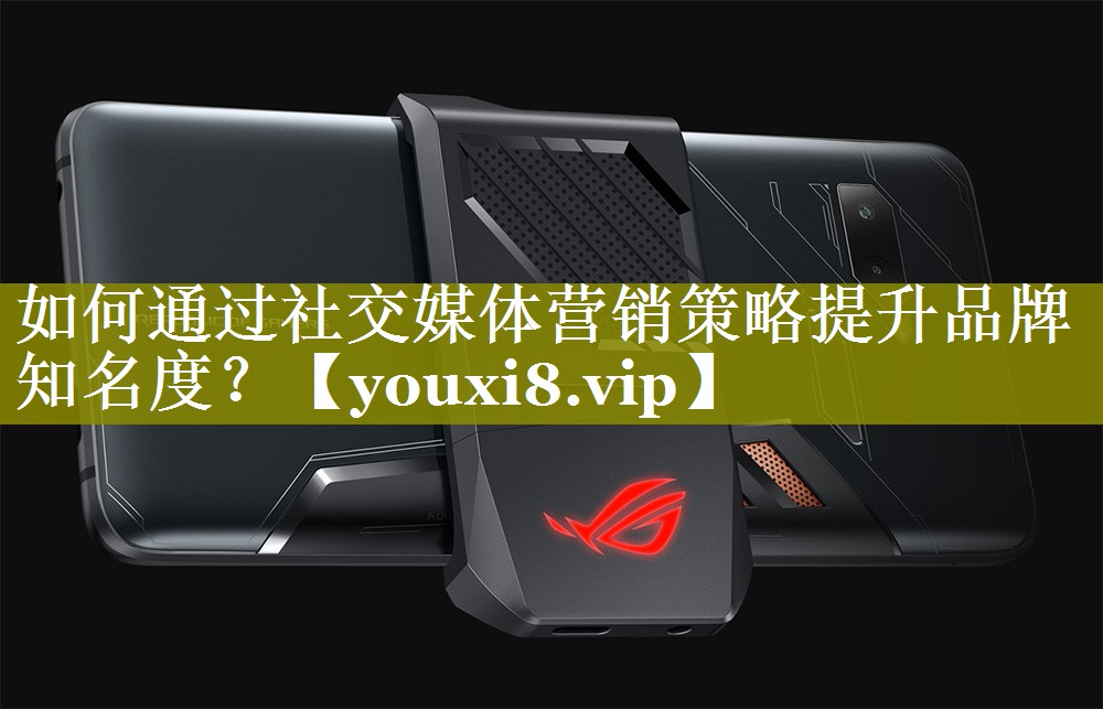 如何通过社交媒体营销策略提升品牌知名度？